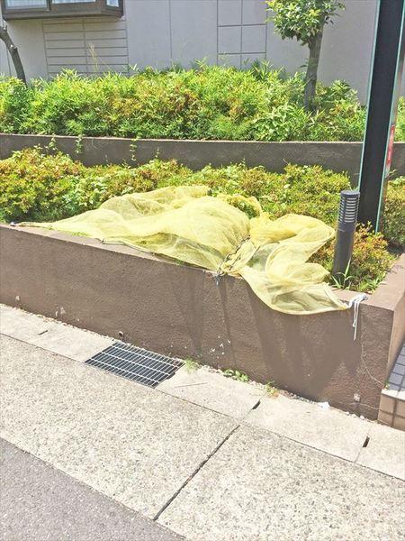グリーンヤード洋 物件画像