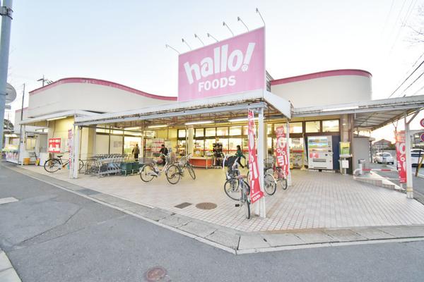 ハローフーヅ菅田店