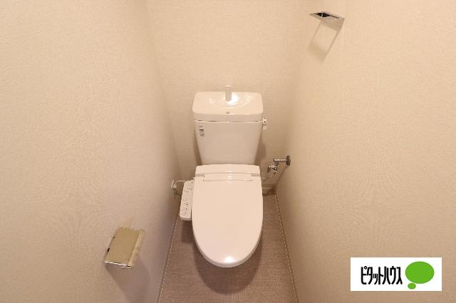 プレサンス丸の内アドブル（306） トイレ