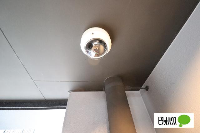 Neplus T（901） その他
