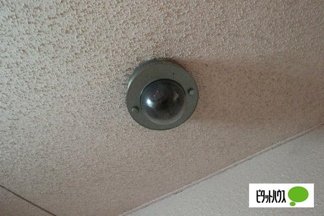 プレサンス泉セレグレード（1103） 共有部分