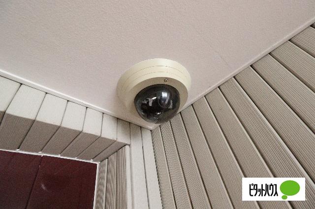 名古屋市東区白壁マンション その他