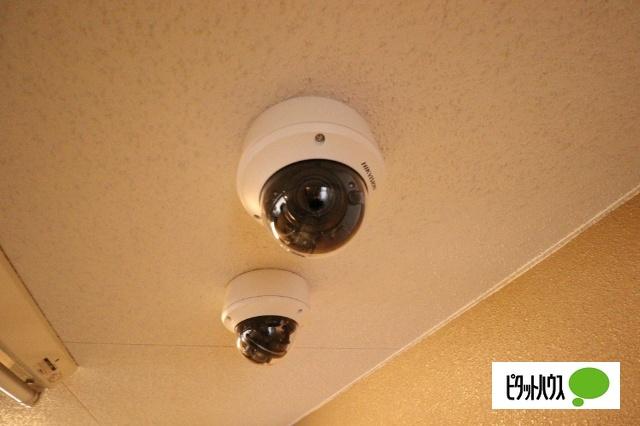 プレサンス桜通り葵（307） その他