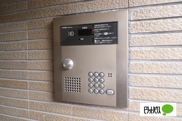 メゾン ド エリシオン（302） その他