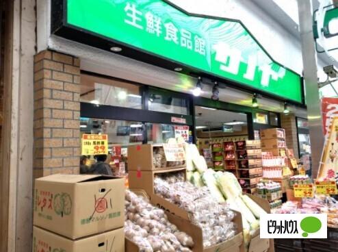 周辺環境画像