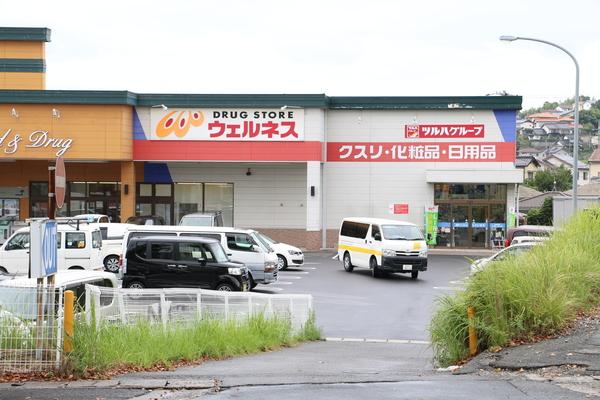 ドラッグストアウェルネス上乃木店：1030m