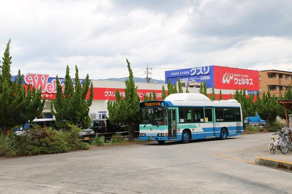 ドラッグストアウェルネス川津店：1196m