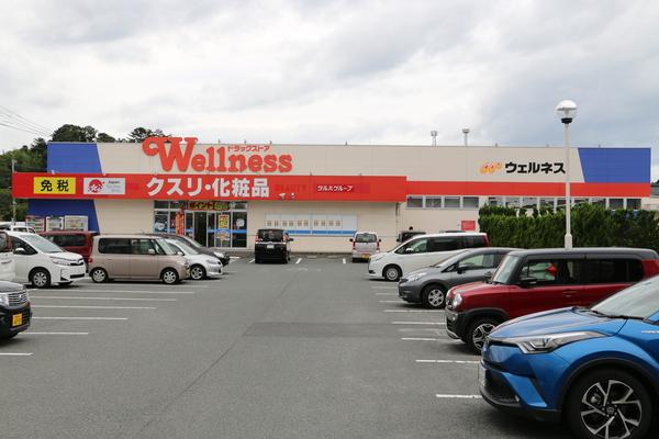 ドラッグストアウェルネス黒田店：437m