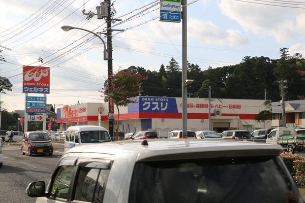 ドラッグストアウェルネス春日店：597m