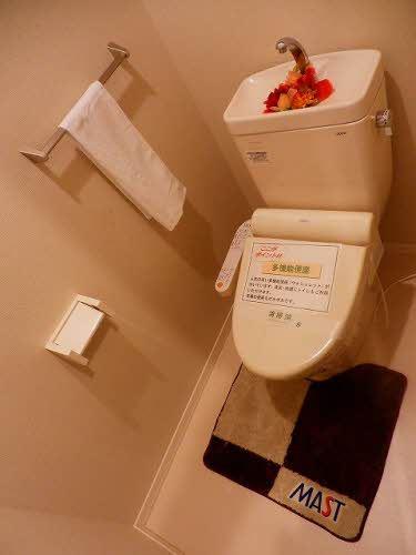 Ｆｏｒｅ　Ｃａｓｔｌｅ　Ⅴ（103） トイレ