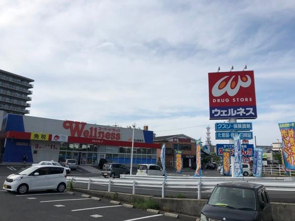 ドラッグストアウェルネス橋南店：862m