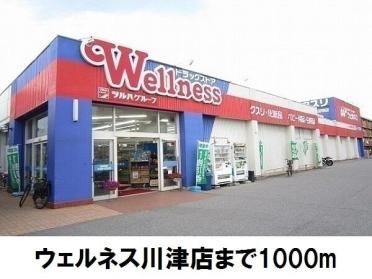 ウェルネス川津店：1000m