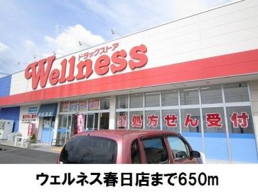 ウェルネス春日店：650m