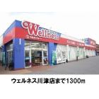 ウェルネス川津店：1300m