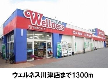 ウェルネス川津店：1300m