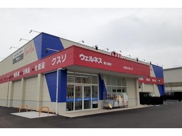 ウェルネス東川津店：1200m