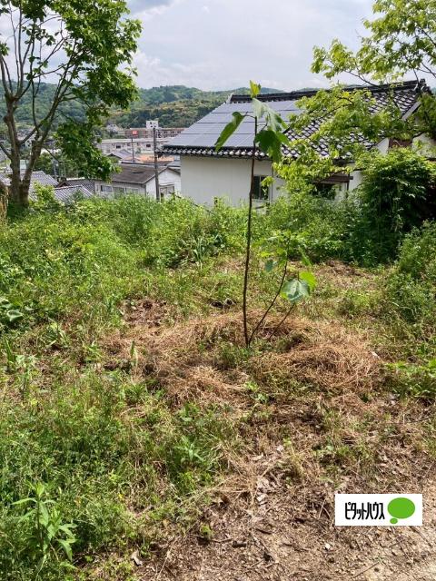 八雲台貸家（1） 庭
