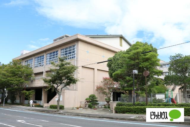 松江市立中央小学校：573m