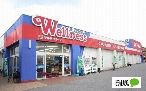ドラッグストアウェルネス東川津店：320m
