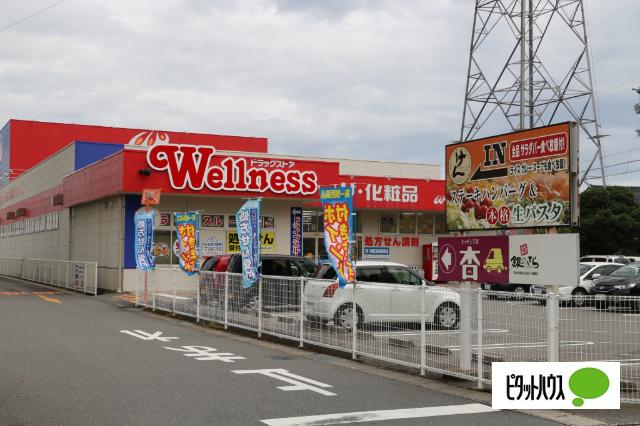 ドラッグストアウェルネス東津田店：961m