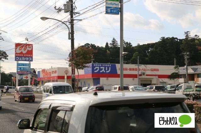 ドラッグストアウェルネス春日店：456m