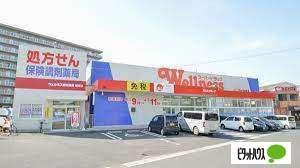 ドラッグストアウェルネス橋南店：430m