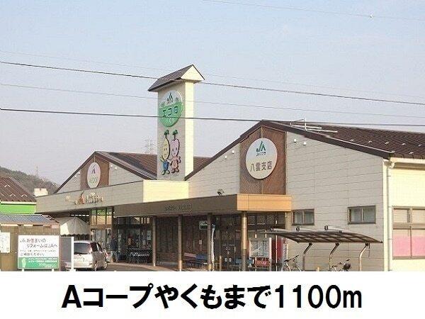 Ａコープやくも：1100m