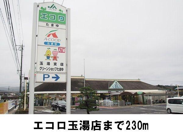 エコロたまゆ：230m