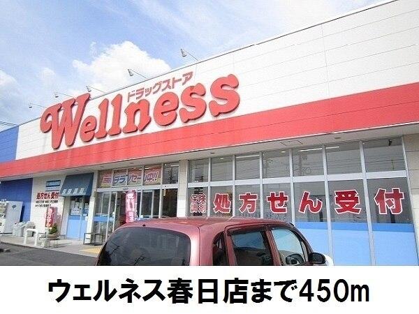 ウェルネス春日店：450m