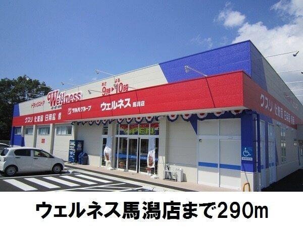 ウェルネス馬潟店：290m