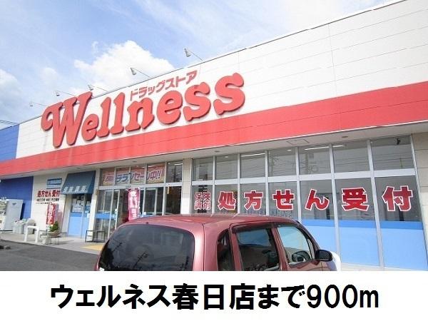 ウェルネス春日店：900m