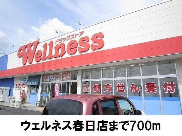 ウェルネス春日店：700m