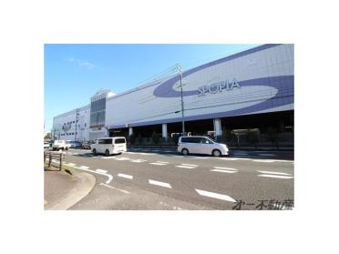 シラトリ静岡ジャンボ店：350m