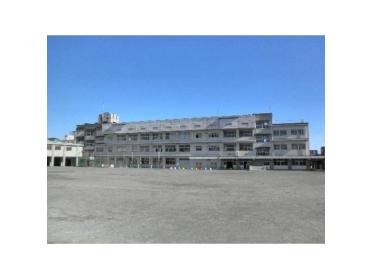 静岡市立新通小学校：200m