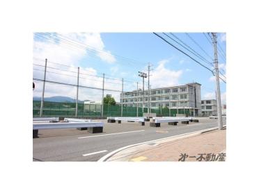 静岡市立賤機南小学校：800m