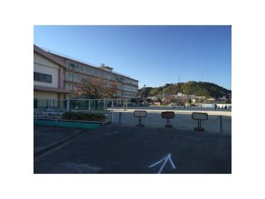 静岡市立西豊田小学校：900m