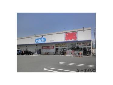 ウエルシア静岡池田店：260m