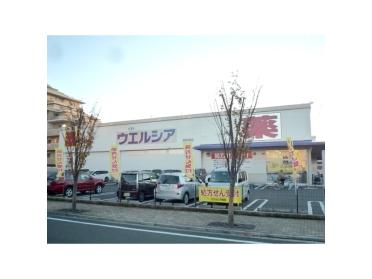 ウエルシア 静岡中田店：400m