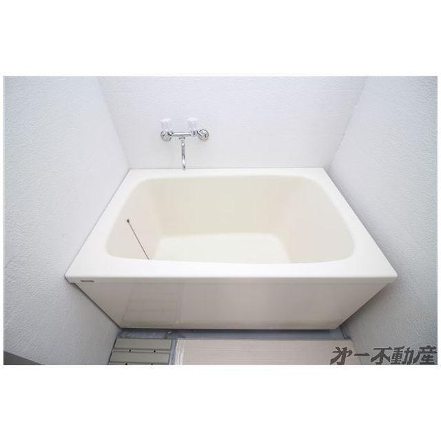 イレブンハイツ（204） 部屋画像