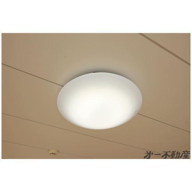 イレブンハイツ（204） 部屋画像