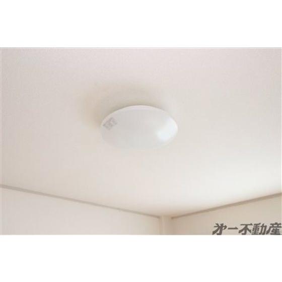 コーポ見瀬（203） 部屋画像