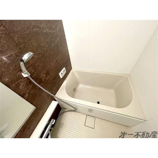 IRIS RESIDENCE稲川（404） 部屋画像