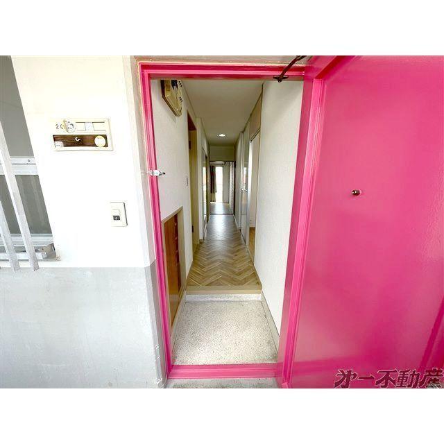 静岡中央マンション（201） 玄関