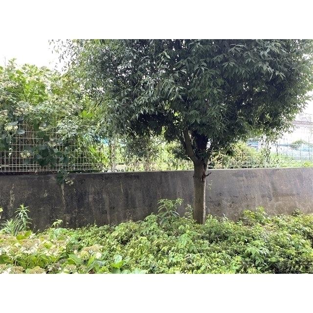 グランヒル（101） 眺望