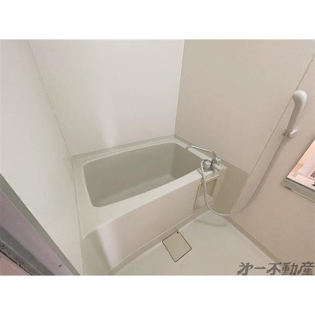 サンハイツ大井（203） 部屋画像