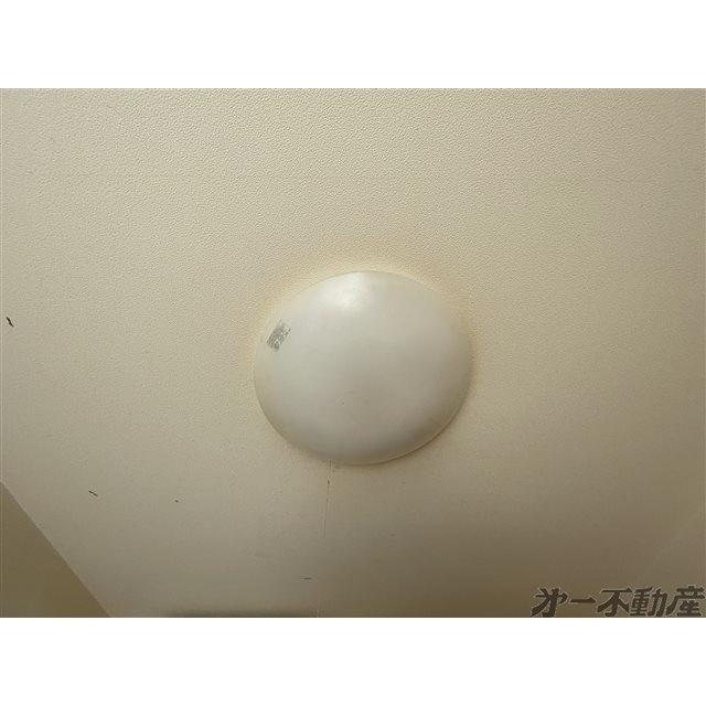 サンハイツ市川（103） 部屋画像