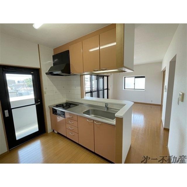 シェーン・ベルク安東（401） キッチン