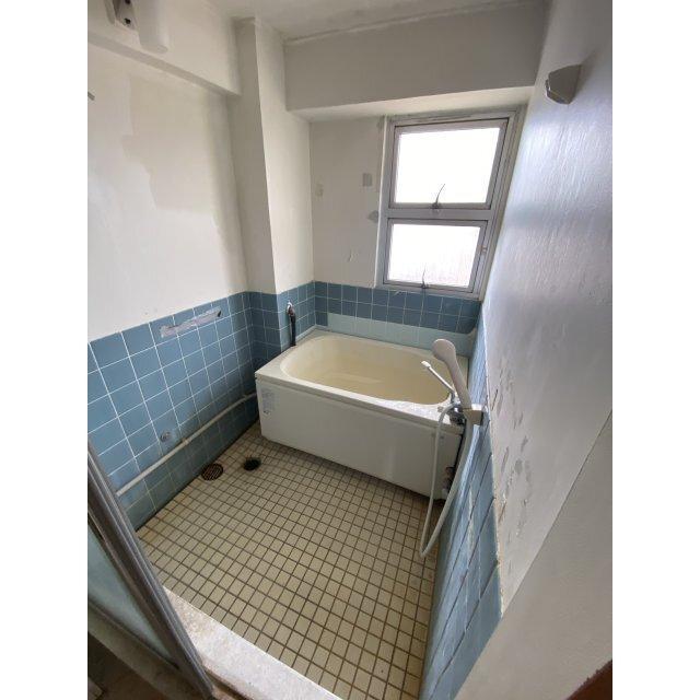 新川ハイツ（503） 部屋画像