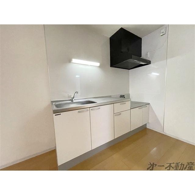 大岩ハイデンス（208） キッチン