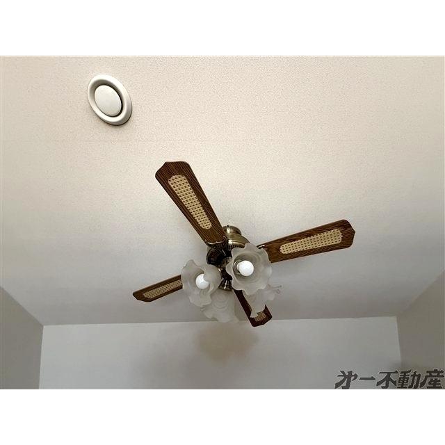 エバーグリーンTｓ・（203） 部屋画像